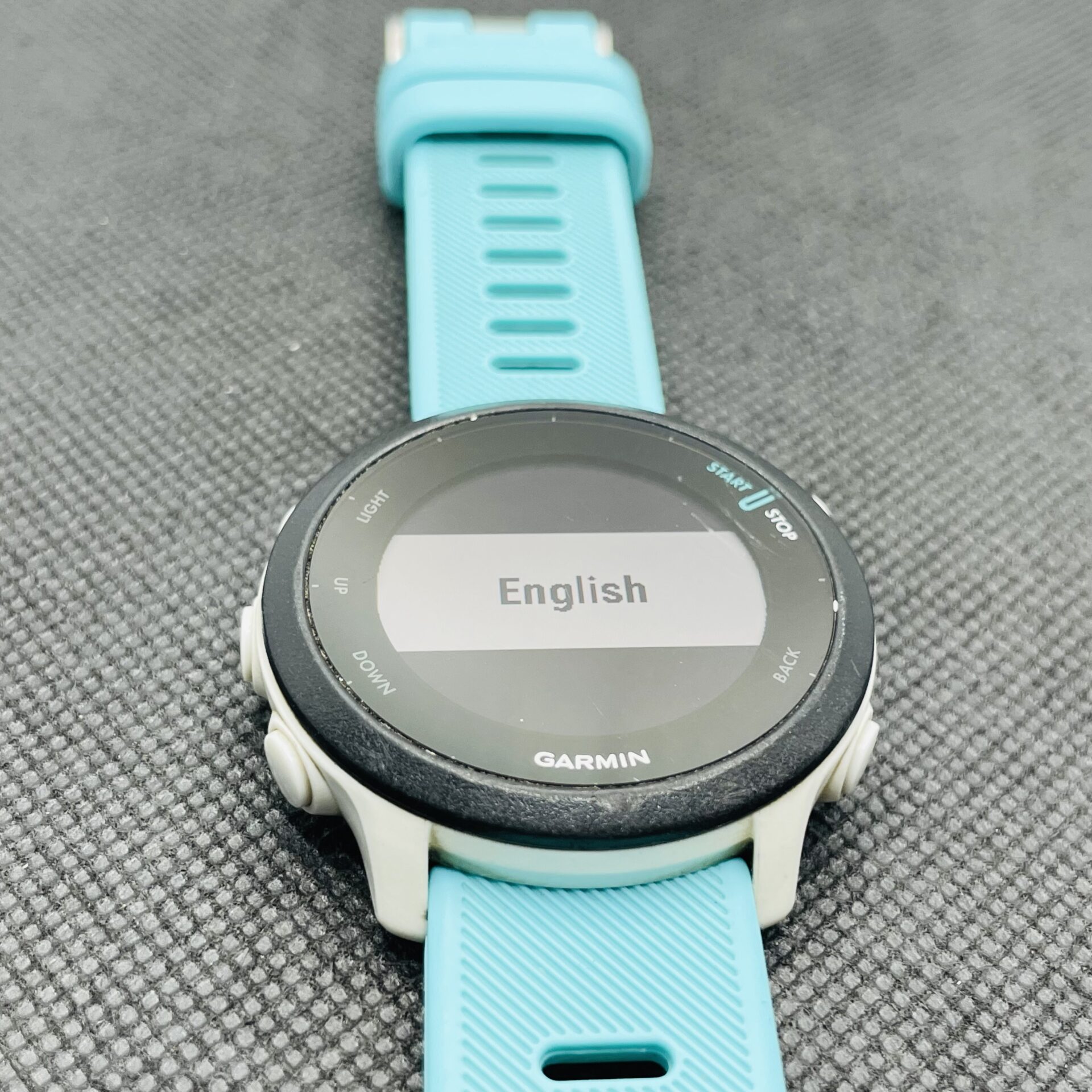 Garmin Forerunner 55 White - With Blue Straps - Image 2