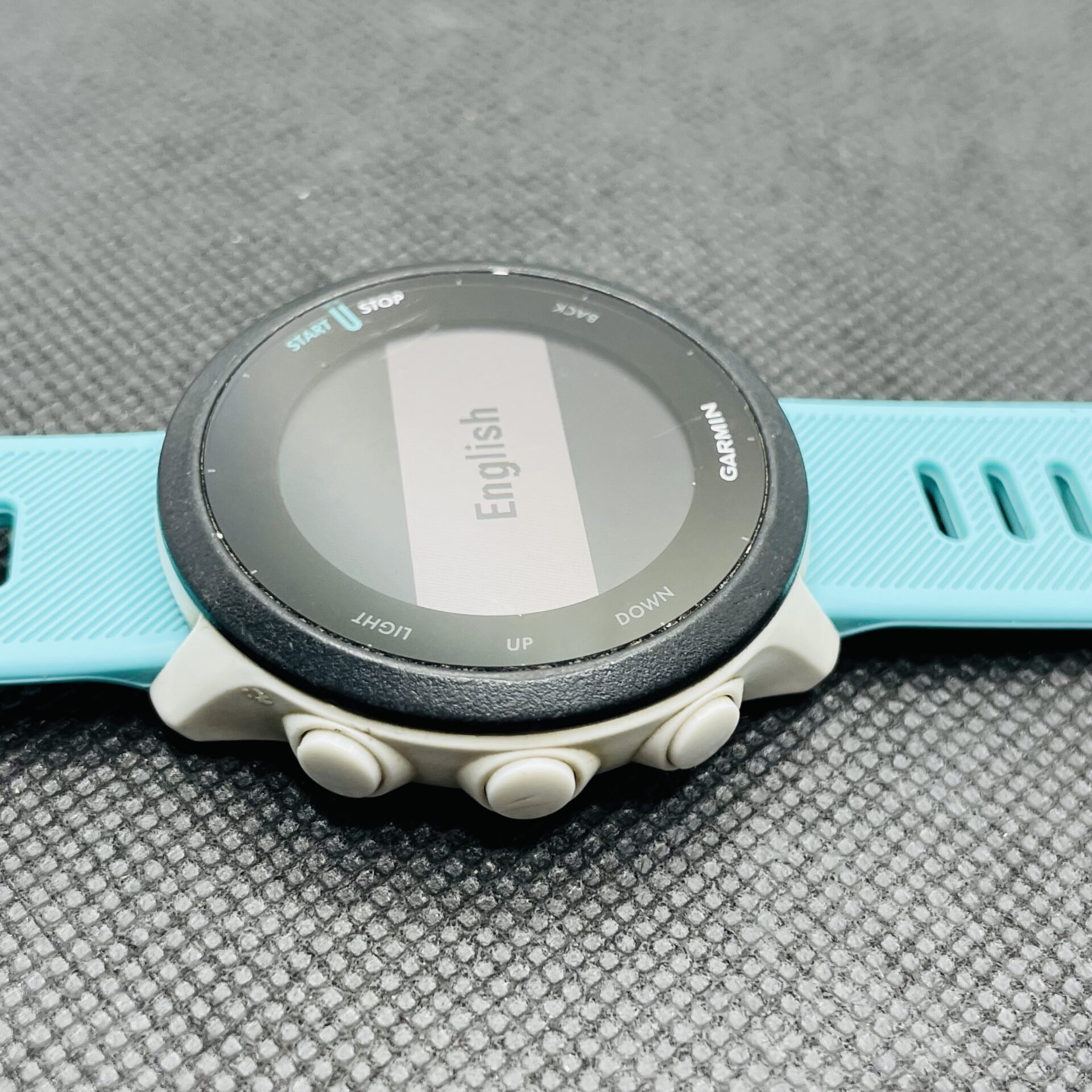 Garmin Forerunner 55 White - With Blue Straps - Image 3